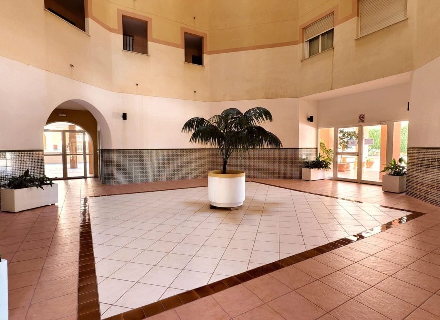 Odsprzedaż - Apartament - Torrevieja - Playa de los Locos