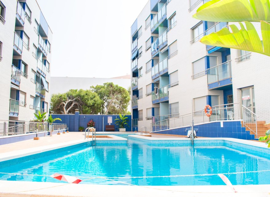 Odsprzedaż - Apartament - Torrevieja - Playa Los Locos