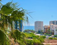 Odsprzedaż - Apartament - Torrevieja - Punta Prima