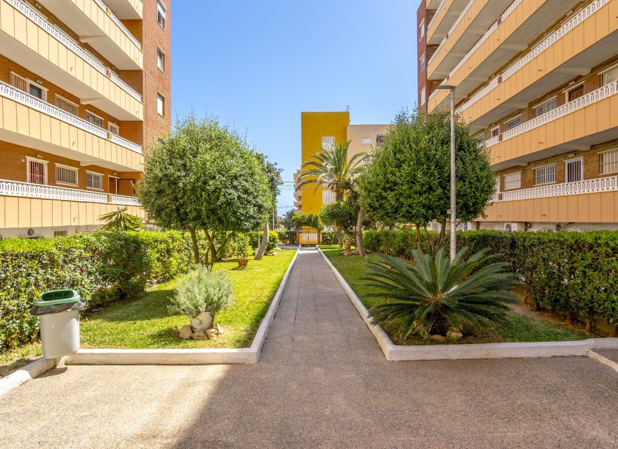 Odsprzedaż - Apartament - Torrevieja - Punta Prima