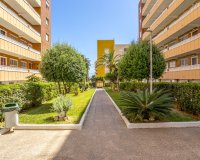 Odsprzedaż - Apartament - Torrevieja - Punta Prima