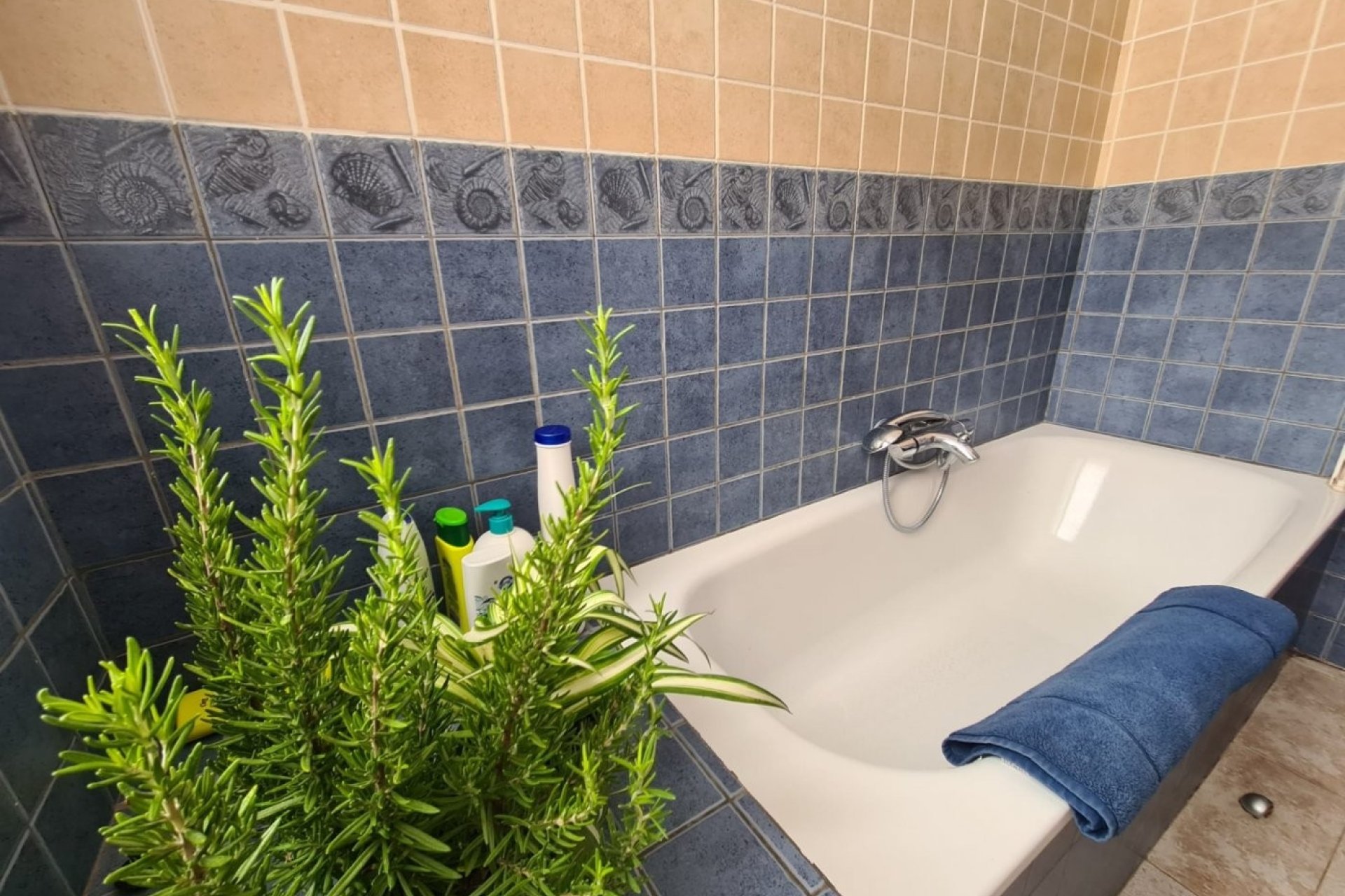 Odsprzedaż - Apartament - Valencia - Centro