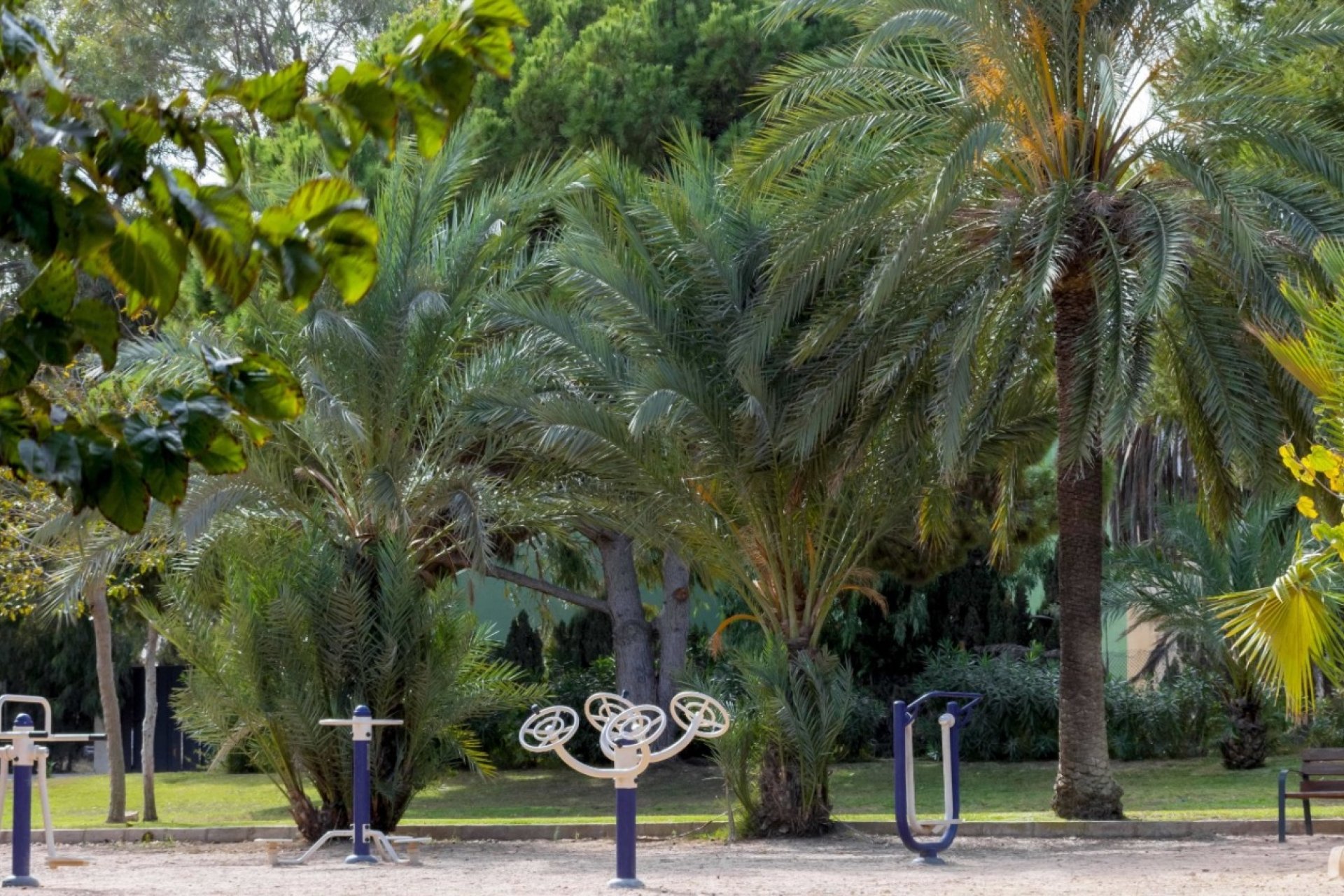 Odsprzedaż - Dupleks - Orihuela Costa - Costa Blanca