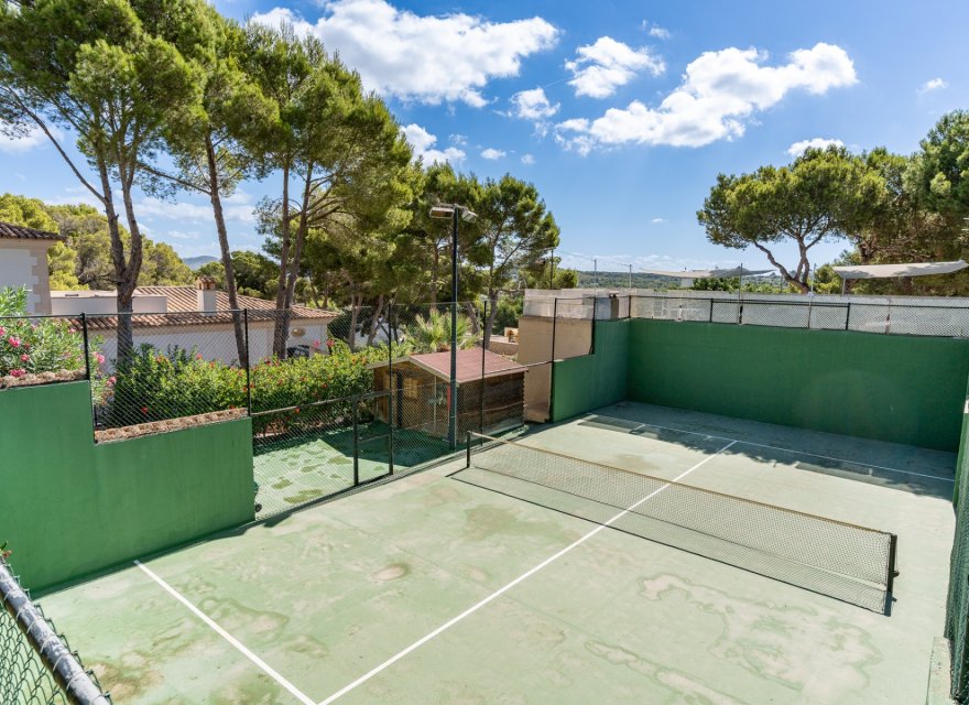 Odsprzedaż - Dupleks - Santa Ponsa