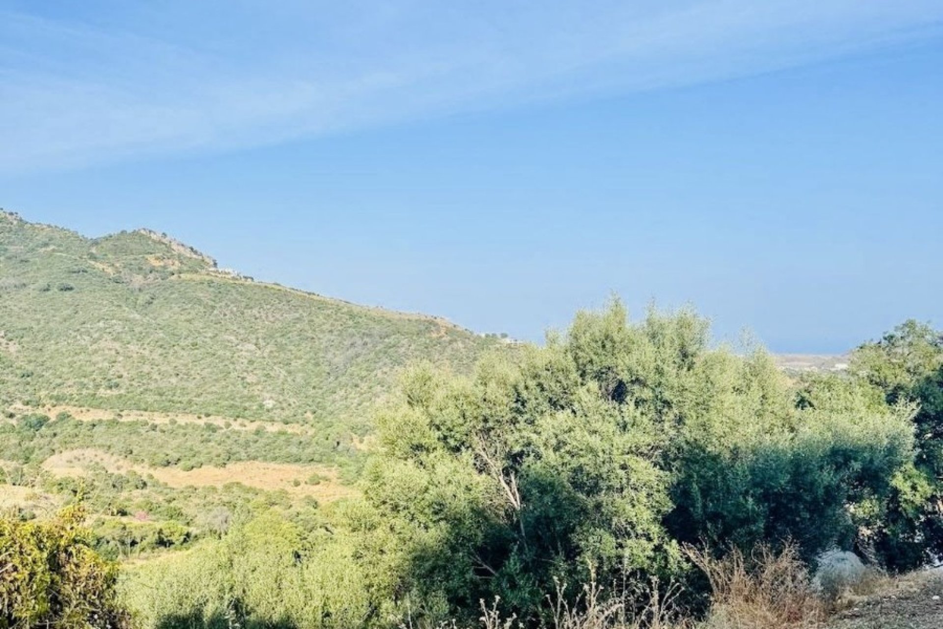 Odsprzedaż - Działka - Benahavís - Costa del Sol