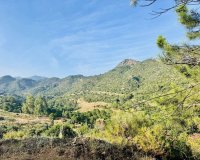 Odsprzedaż - Działka - Benahavís - Costa del Sol