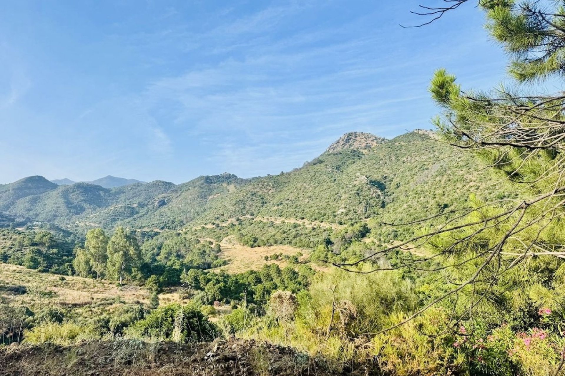 Odsprzedaż - Działka - Benahavís - Costa del Sol