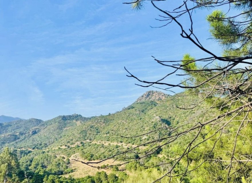 Odsprzedaż - Działka - Benahavís - Costa del Sol