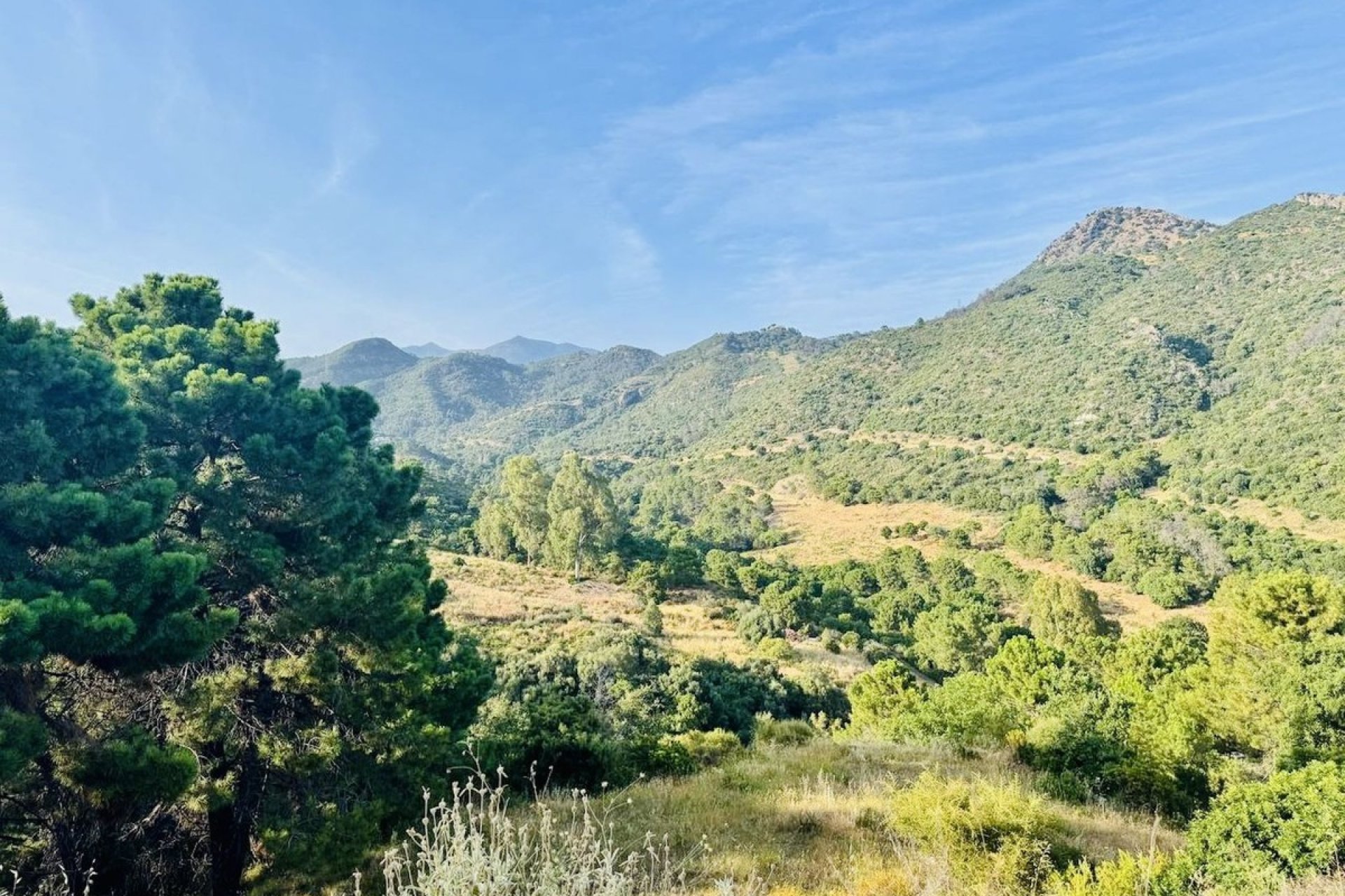 Odsprzedaż - Działka - Benahavís - Costa del Sol