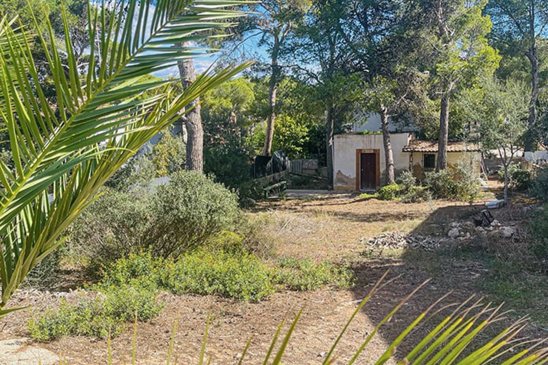 Odsprzedaż - Działka - El Toro