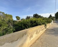 Odsprzedaż - Działka - El Toro