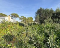 Odsprzedaż - Działka - El Toro