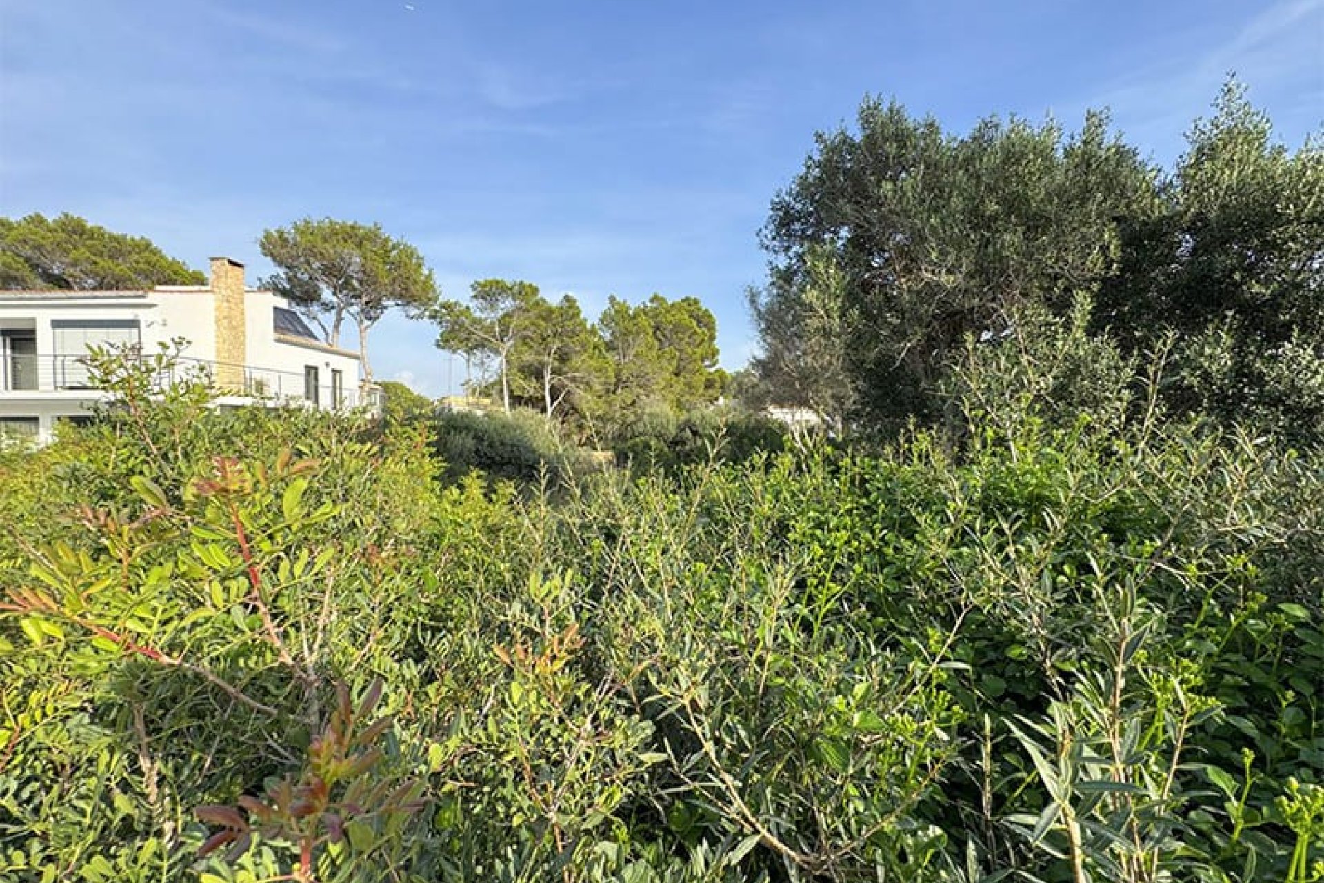 Odsprzedaż - Działka - El Toro