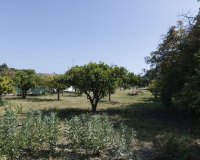 Odsprzedaż - Działka - Еstepona - Costa del Sol