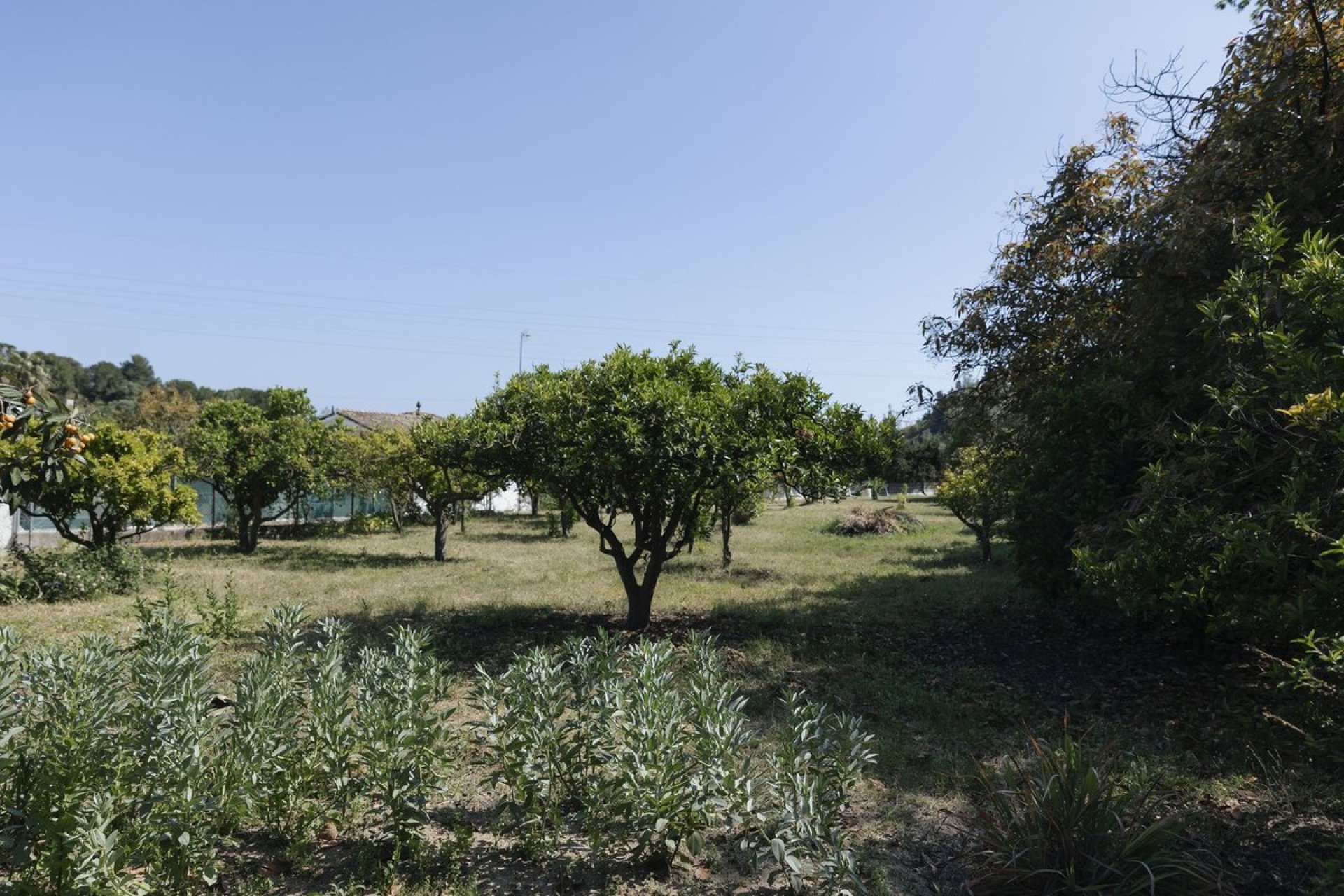 Odsprzedaż - Działka - Еstepona - Costa del Sol