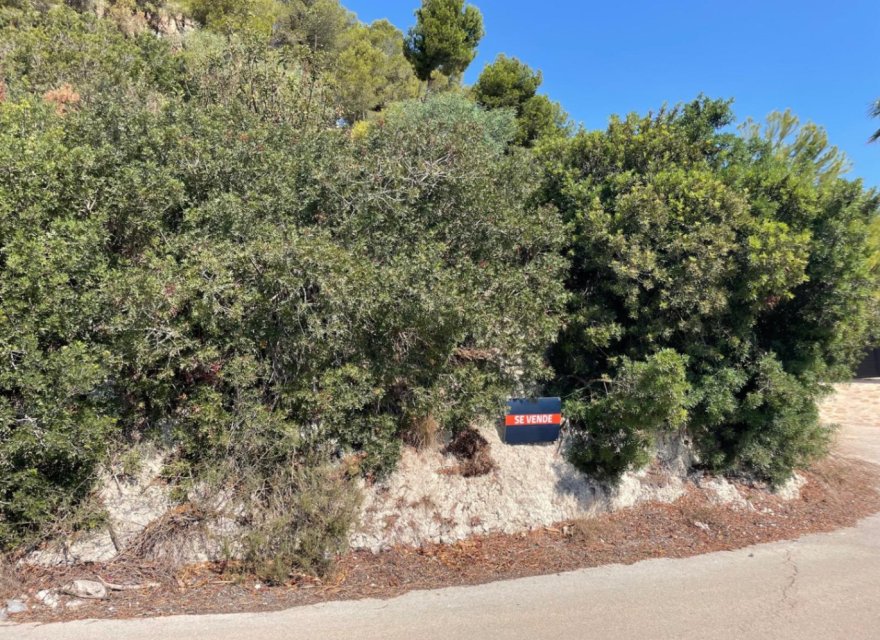 Odsprzedaż - Działka - Moraira