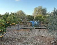 Odsprzedaż - Działka - Palma de Mallorca - Marratxi