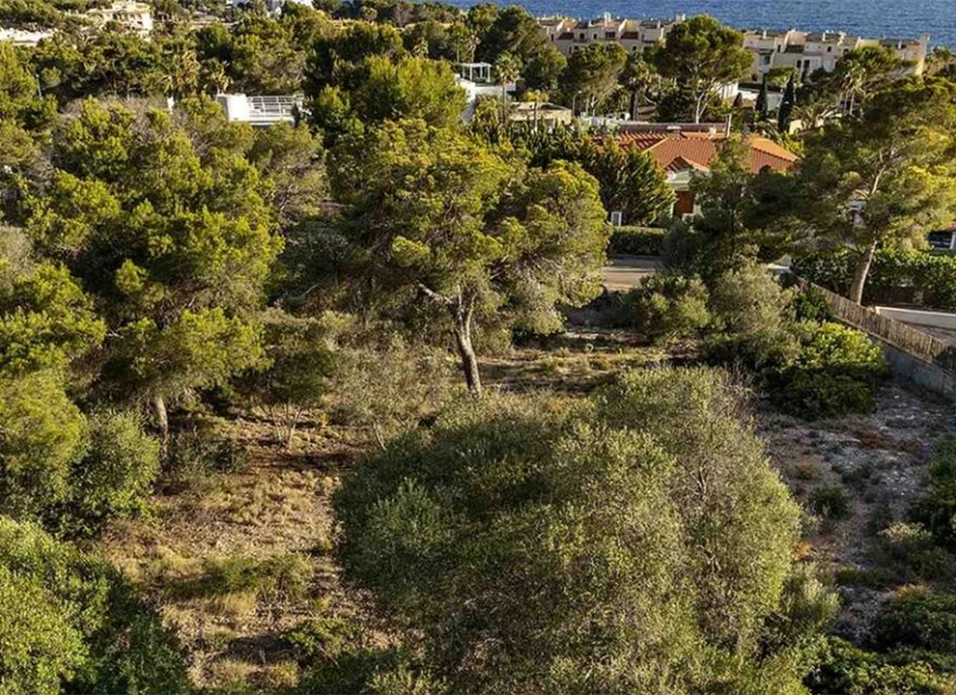 Odsprzedaż - Działka - Santa Ponsa