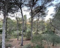 Odsprzedaż - Działka - Santa Ponsa