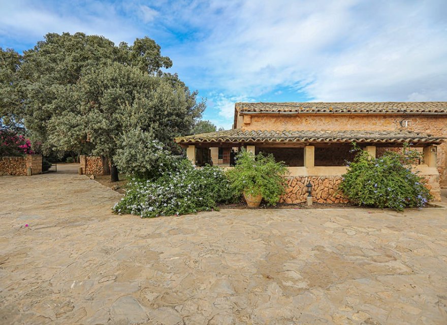 Odsprzedaż - Komercyjna - Llucmajor