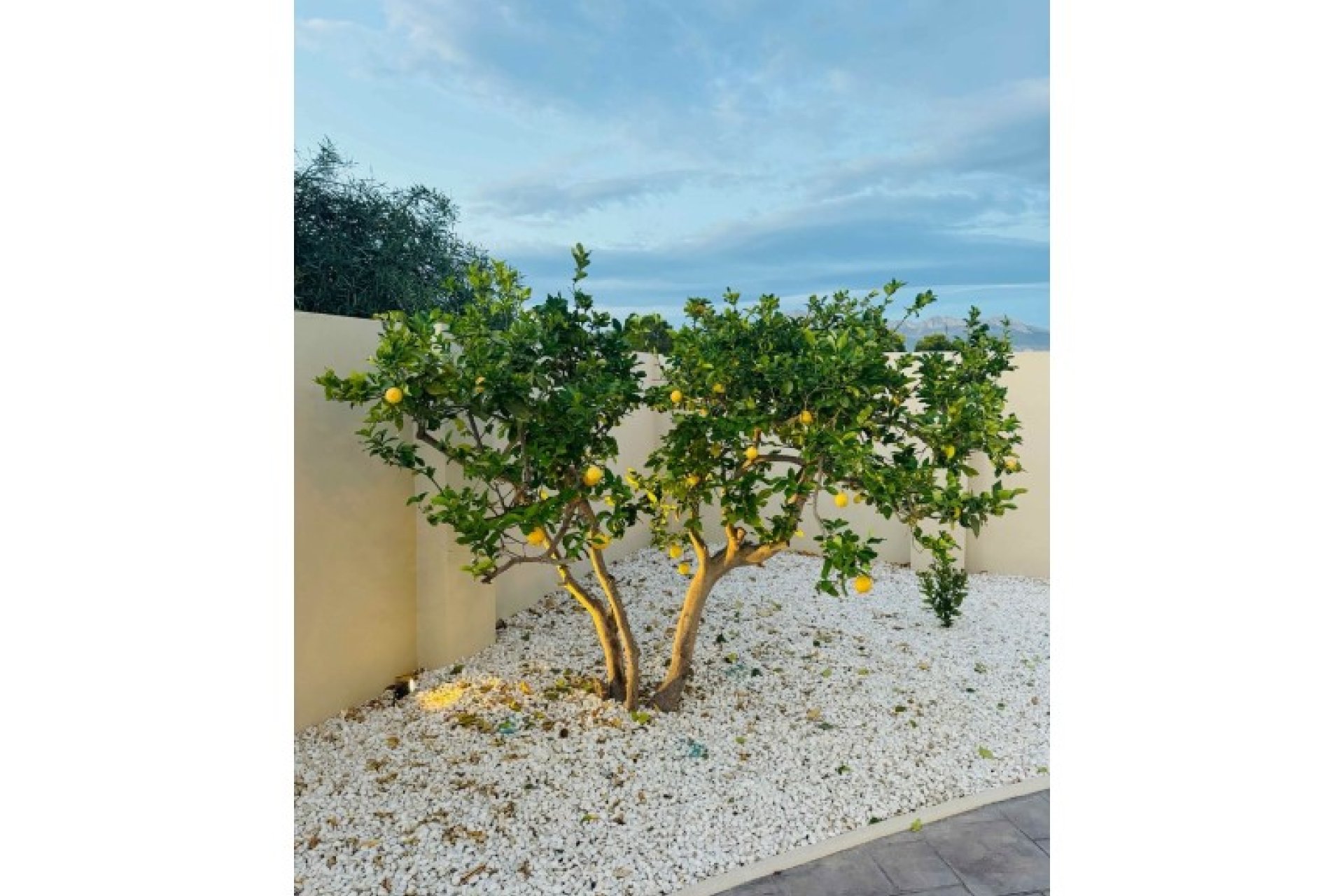 Odsprzedaż - Willa - Albir  - Costa Blanca