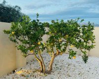 Odsprzedaż - Willa - Albir  - Costa Blanca