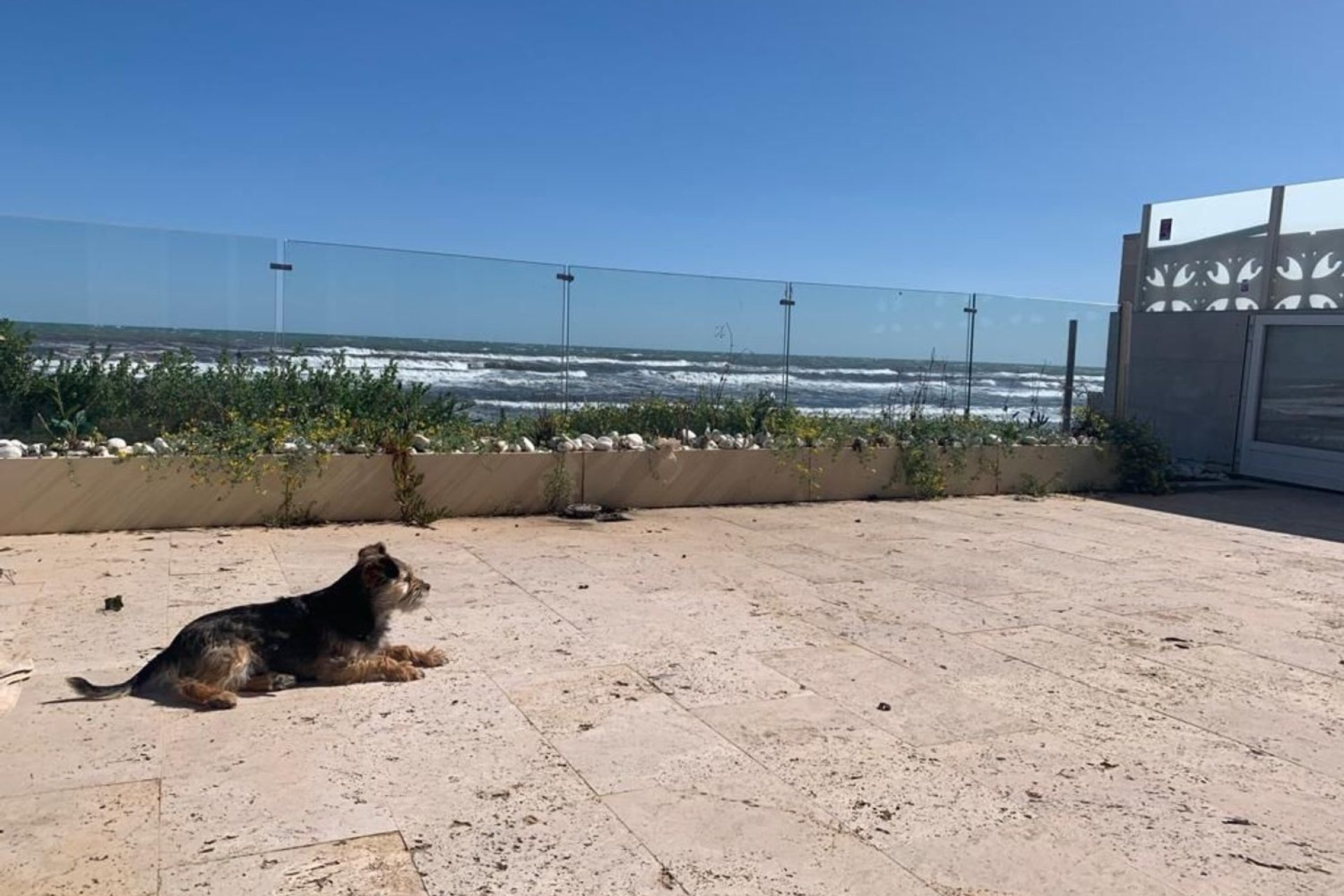Odsprzedaż - Willa - Denia - Devesses - Monte Pego