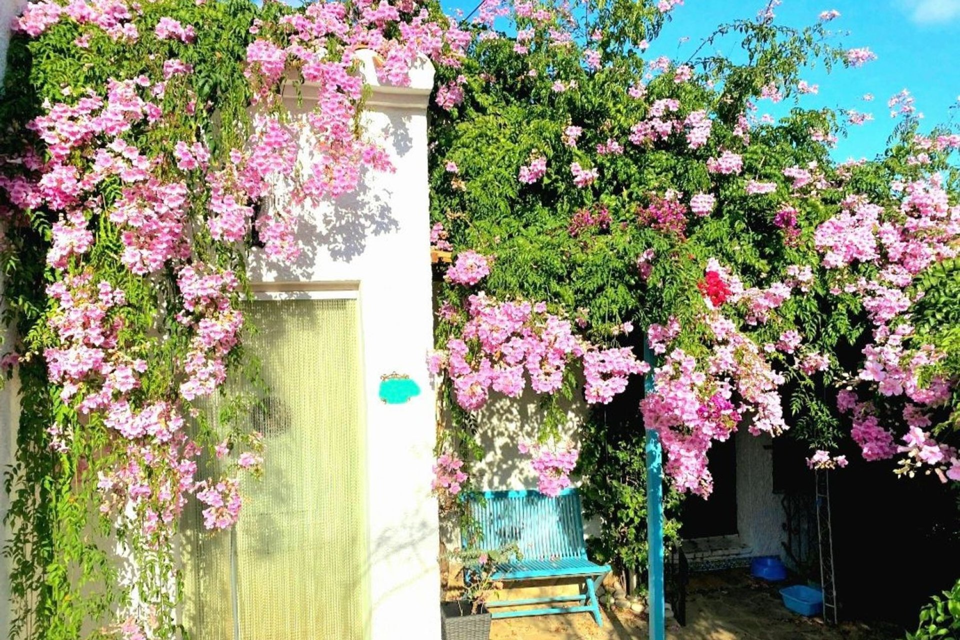 Odsprzedaż - Willa - Jávea - Jávea/Xàbia