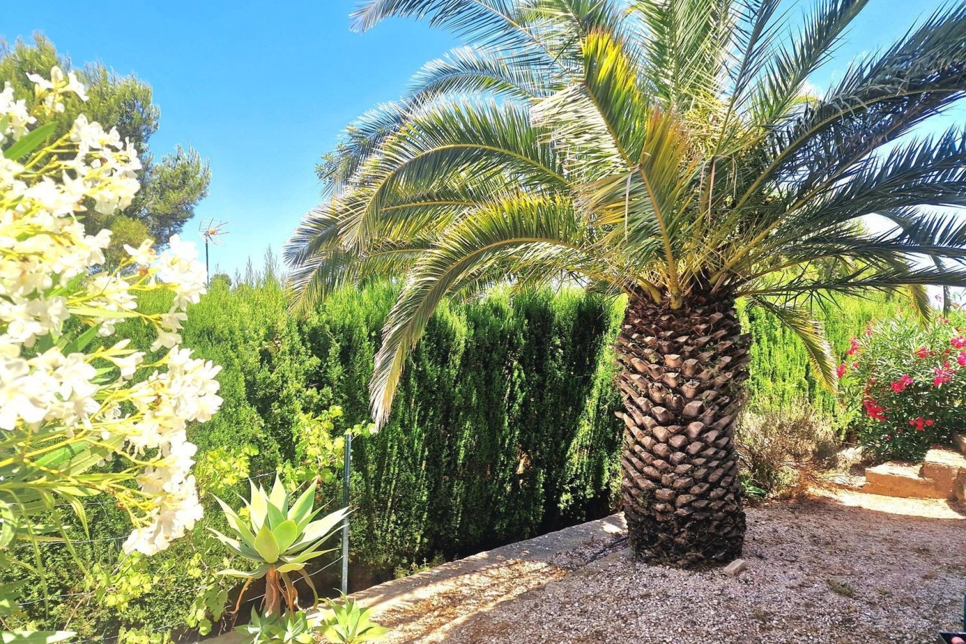 Odsprzedaż - Willa - Jávea - Jávea/Xàbia