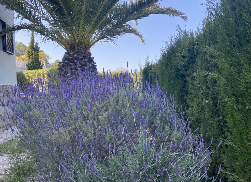 Odsprzedaż - Willa - Jávea - Jávea/Xàbia