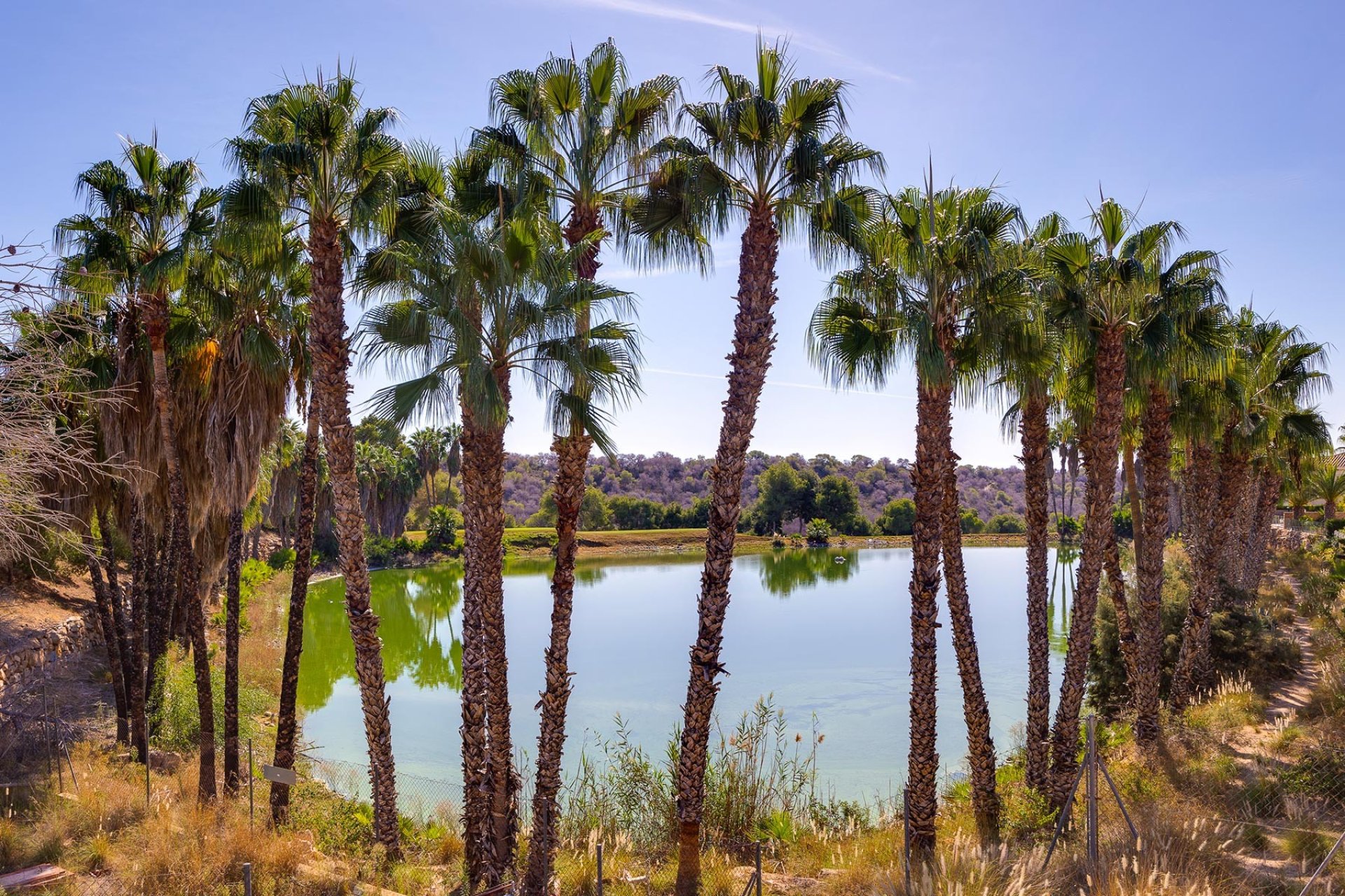 Odsprzedaż - Willa - Orihuela Costa - Costa Blanca