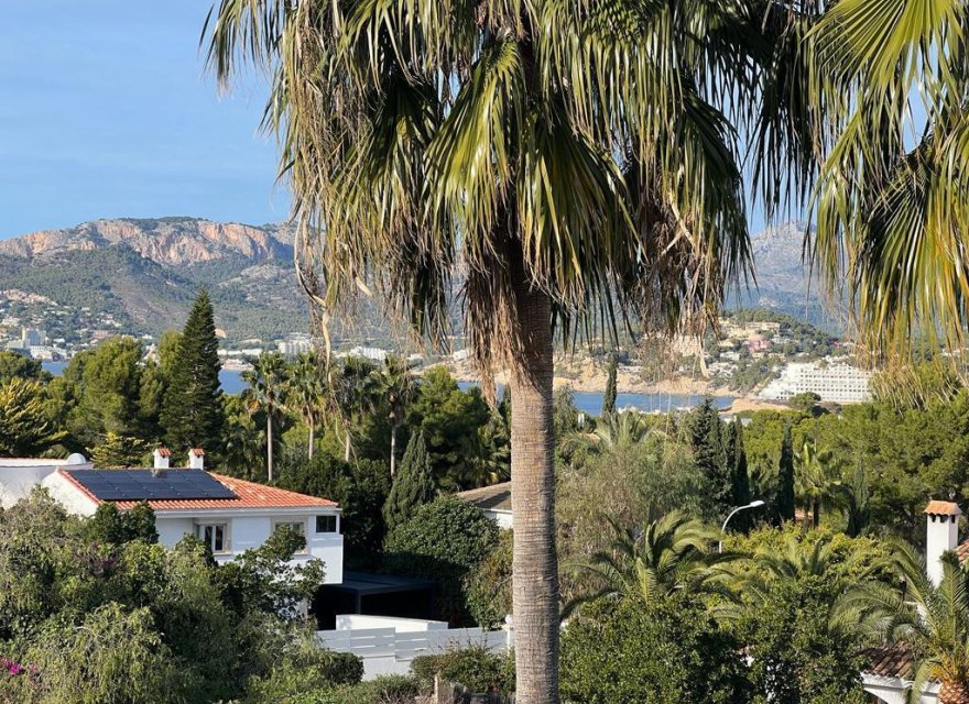 Odsprzedaż - Willa - Santa Ponsa