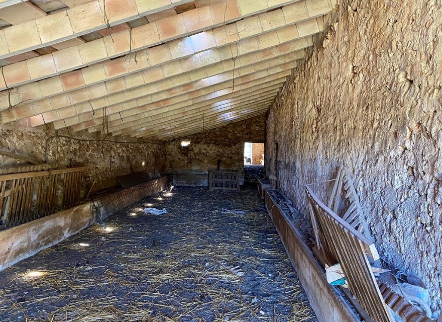 Odsprzedaż - Willa - Sineu