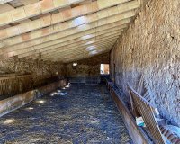 Odsprzedaż - Willa - Sineu