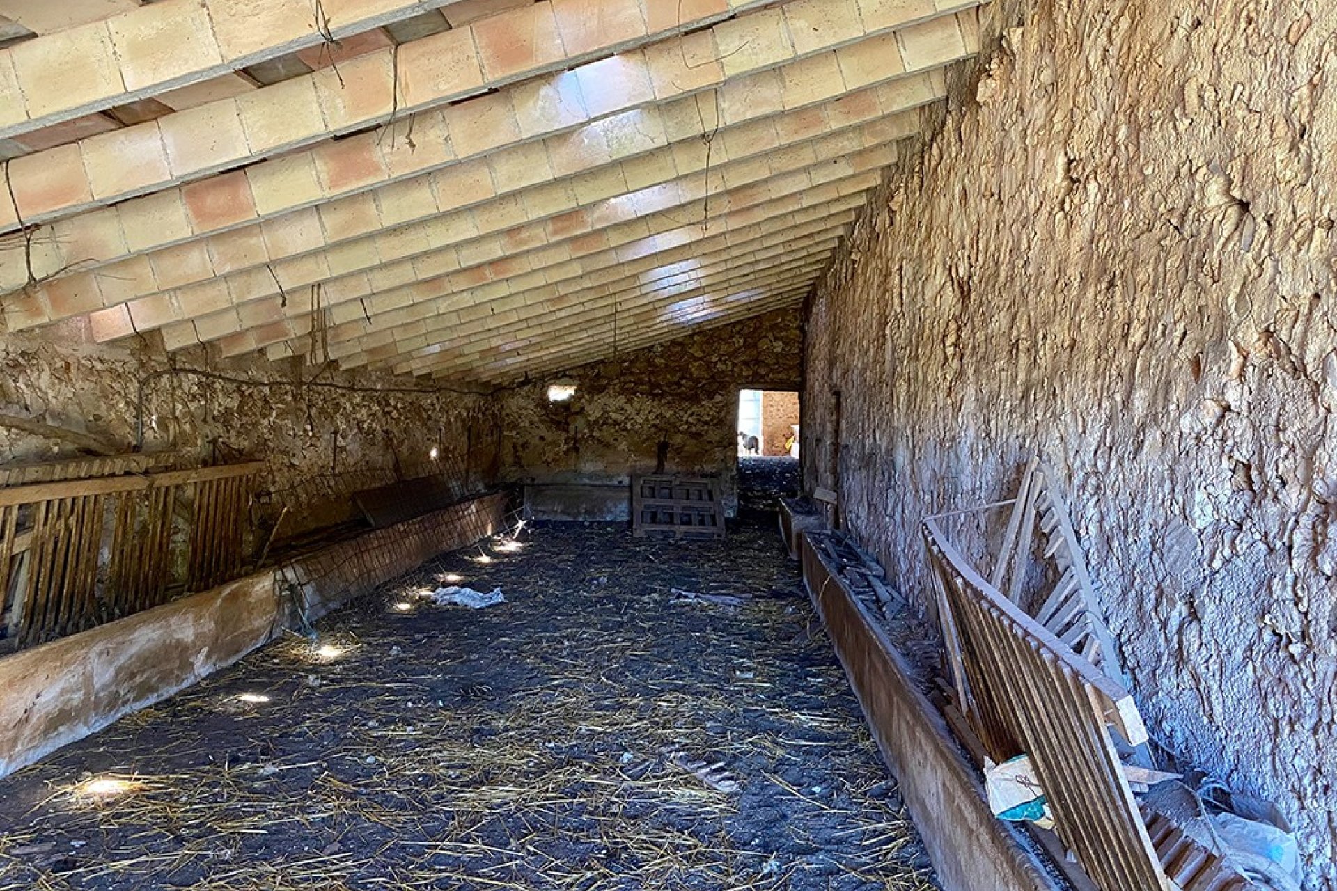 Odsprzedaż - Willa - Sineu