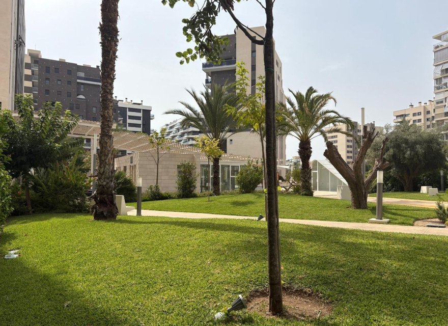 Перепродаж - Апартаменти - Alicante - San Juan de Alicante