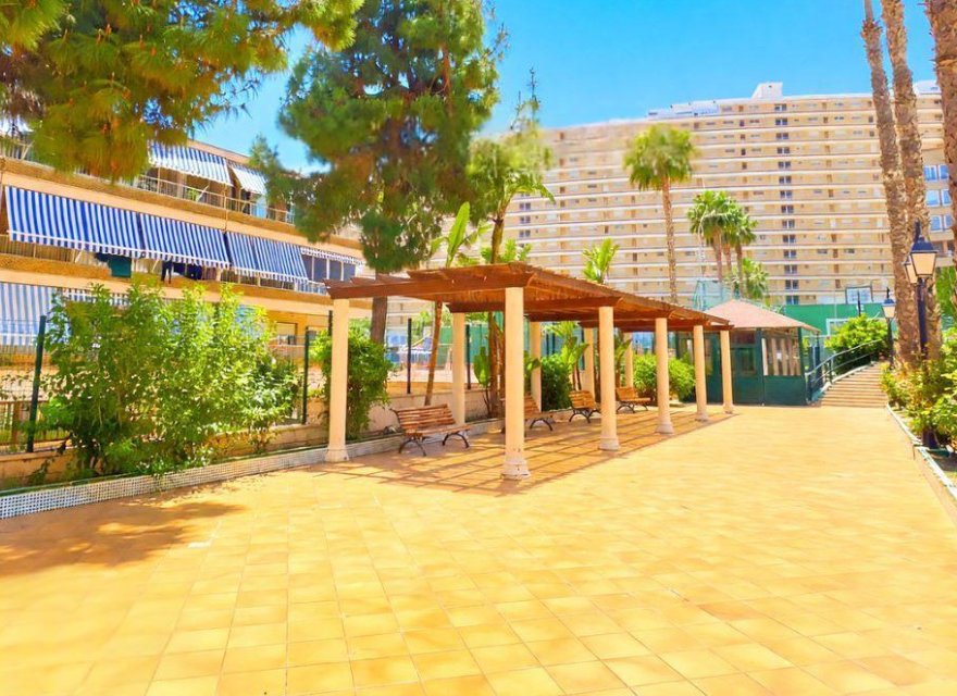 Перепродаж - Апартаменти - Alicante - San Juan de Alicante