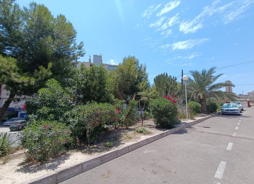 Перепродаж - Апартаменти - Alicante (San Juan) - 