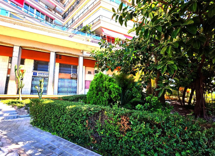 Перепродаж - Апартаменти - Alicante - Vistahermosa