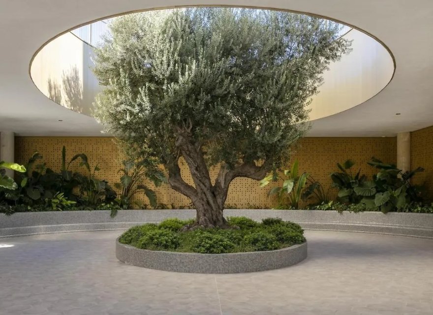 Перепродаж - Апартаменти - Benidorm - Costa Blanca