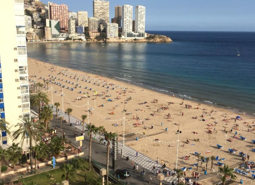 Перепродаж - Апартаменти - Benidorm - Costa Blanca