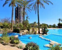 Перепродаж - Апартаменти - Benidorm - Costa Blanca