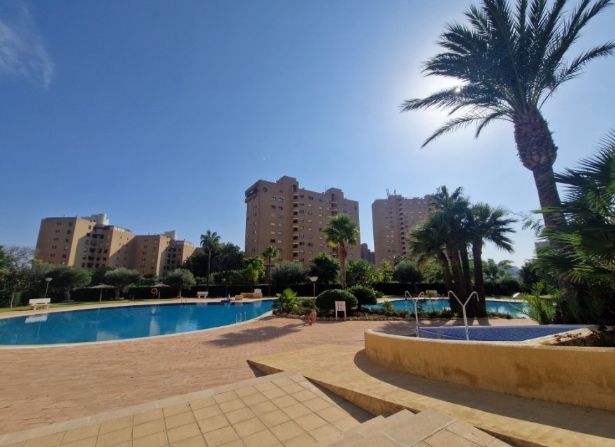 Перепродаж - Апартаменти - Benidorm - Costa Blanca