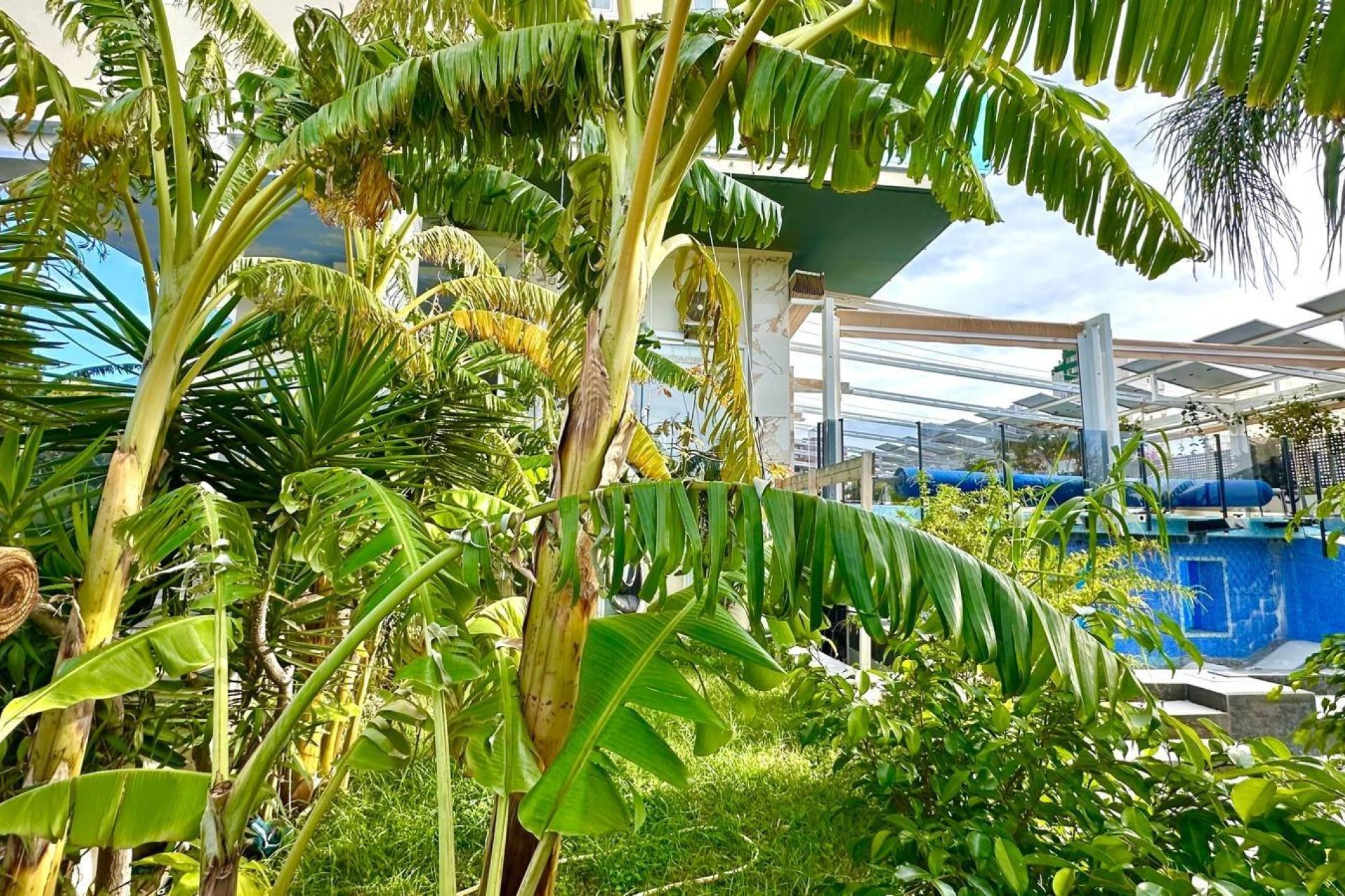 Перепродаж - Апартаменти - Benidorm - Finestrat