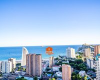 Перепродаж - Апартаменти - Benidorm - Playa de Levante