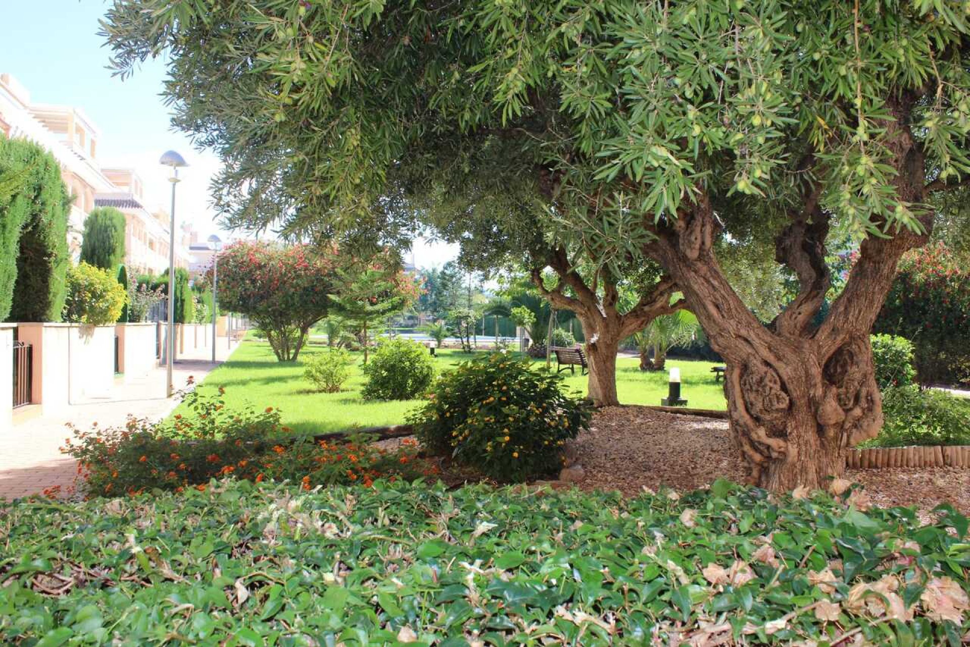 Перепродаж - Апартаменти - Denia - Costa Blanca