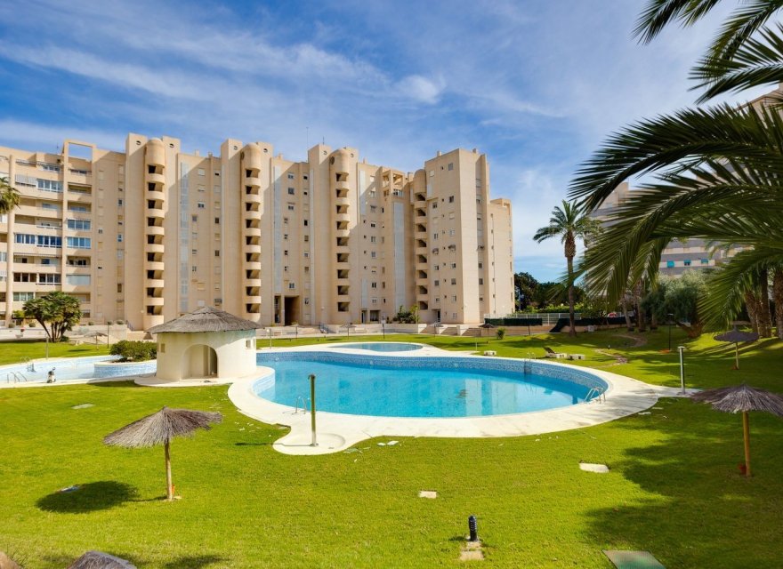 Перепродаж - Апартаменти - El Campello - Playa Muchavista