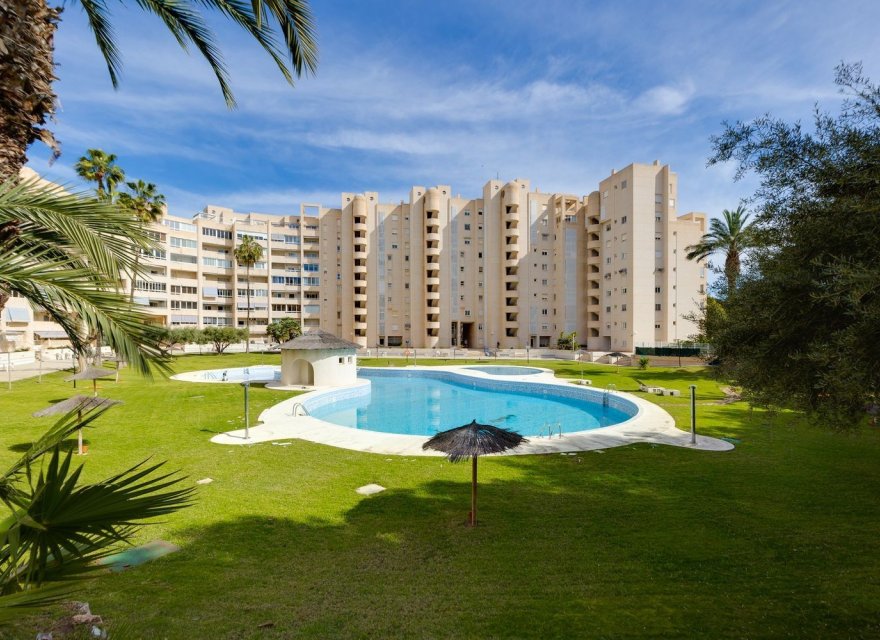 Перепродаж - Апартаменти - El Campello - Playa Muchavista