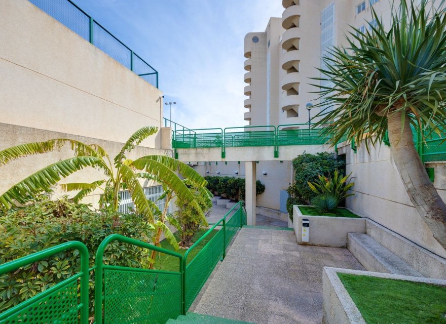 Перепродаж - Апартаменти - El Campello - Playa Muchavista