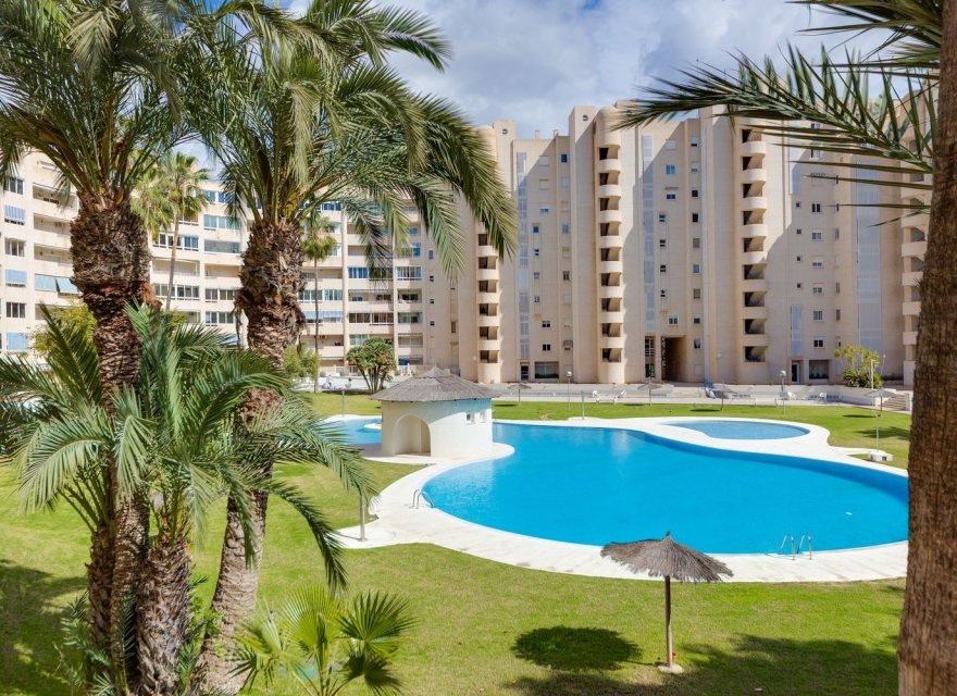Перепродаж - Апартаменти - El Campello - Playa Muchavista
